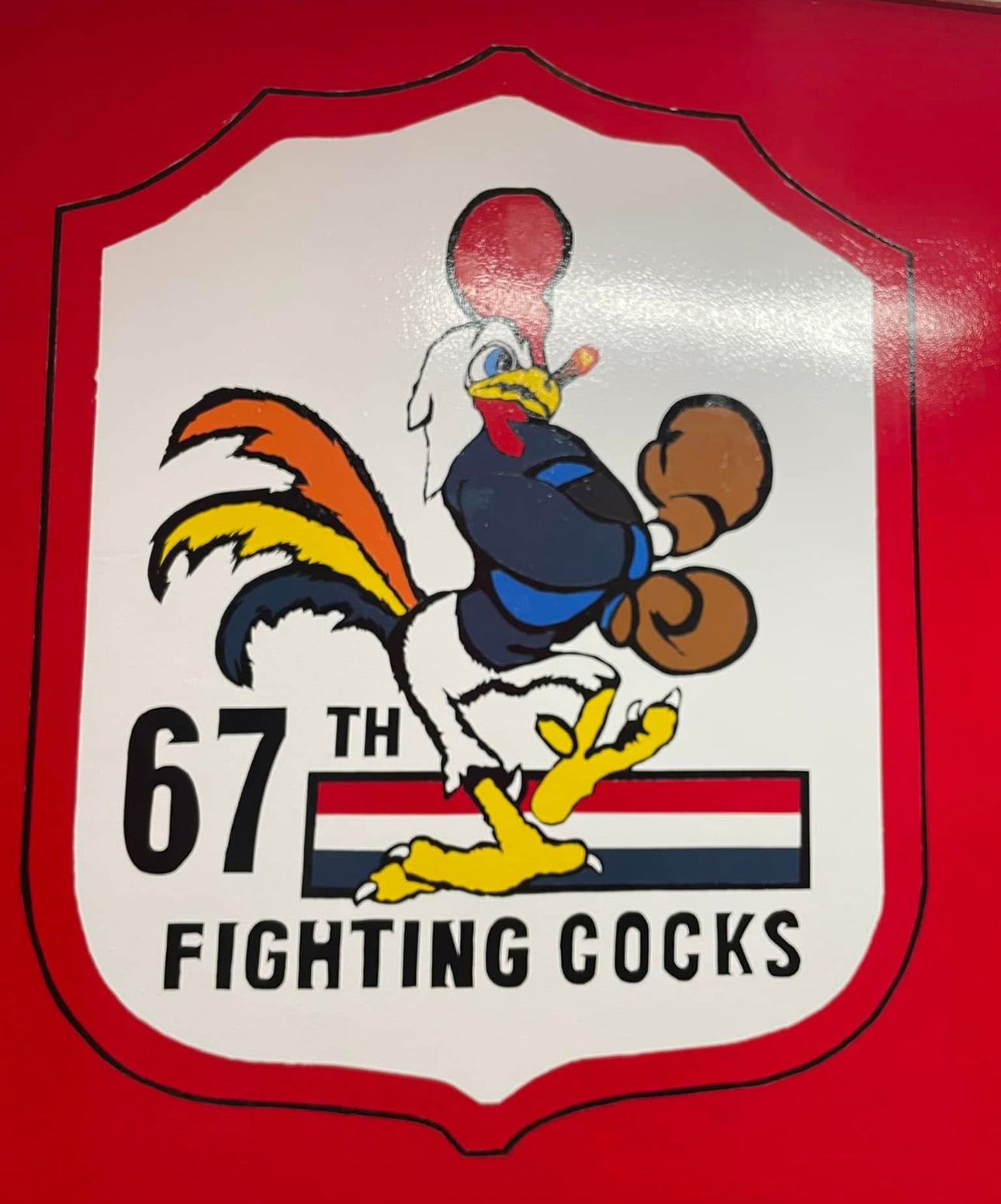 Custom heat Transfer Print/Cut Vinyl