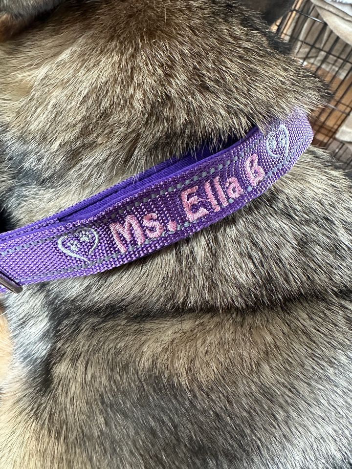 Custom Personalized Dog Collar