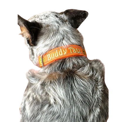 Custom Personalized Dog Collar