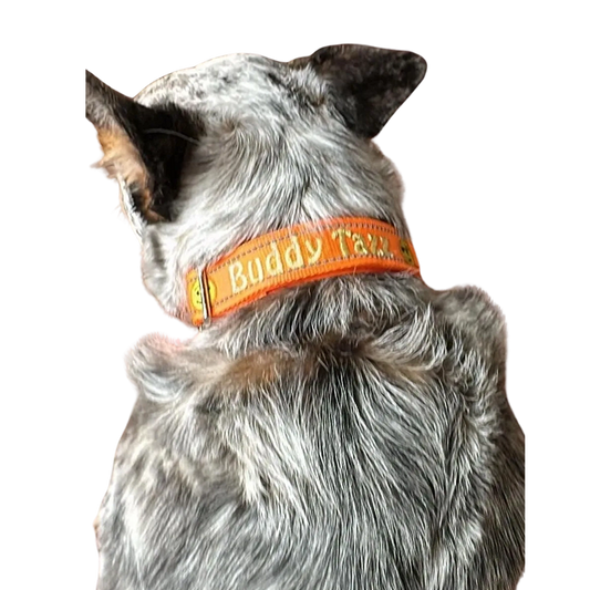 Custom Personalized Dog Collar