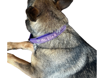 Custom Personalized Dog Collar